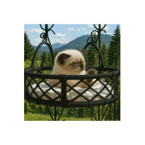 Cam Güzeli Kedi Köpek Yatağı