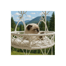 Cam Güzeli Kedi Köpek Yatağı
