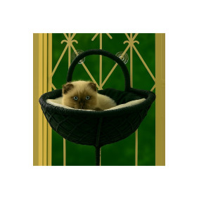 Gezegen Kedi Cam Yatağı & V Cam Yatağı & Kedi Pencere Yatağı